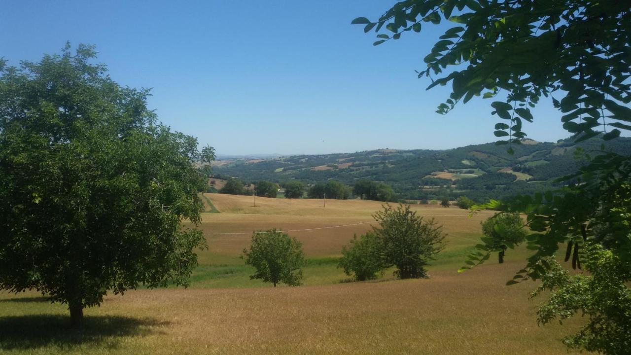B & B La Primavera Pergola Zewnętrze zdjęcie