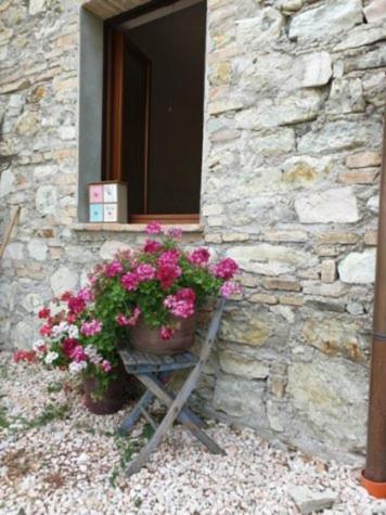 B & B La Primavera Pergola Zewnętrze zdjęcie