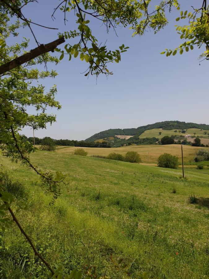 B & B La Primavera Pergola Zewnętrze zdjęcie