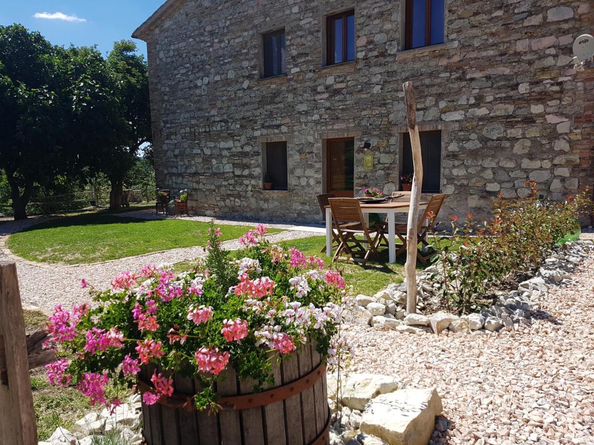 B & B La Primavera Pergola Zewnętrze zdjęcie