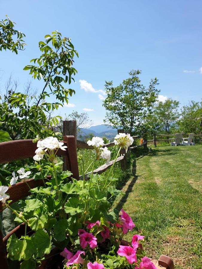 B & B La Primavera Pergola Zewnętrze zdjęcie